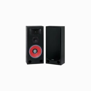 BIC America RTR 1530 – 3-Way Floor Standing Speaker with 15'' Woofer (Pair)