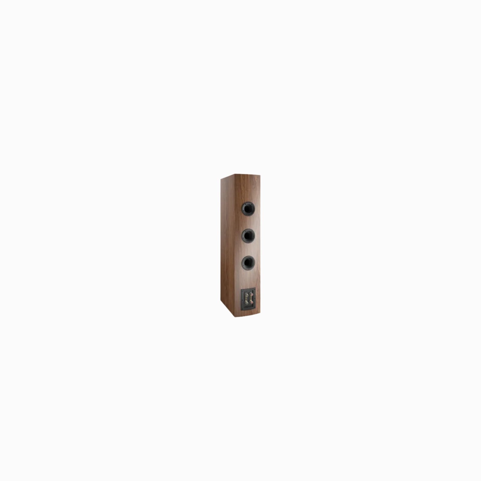 Dali Rubicon 8 - 3 Way Floor Standing Speaker (Pair) (Walnut) - Image 3