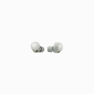 Sony WF-1000X M5 - Wireless Noise Cancellation Earphones (Silver)