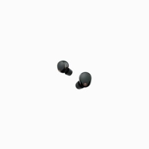 Sony WF-1000X M5 - Wireless Noise Cancellation Earphones (Black)